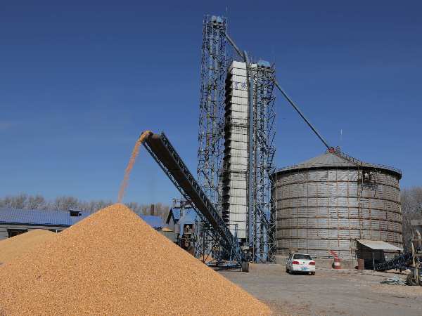 燒煤改燒秸稈大包直燃熱風(fēng)爐，烘干成本省一半