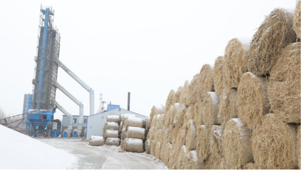 煤炭價(jià)格高，烘糧利潤低，吉林大安市500噸糧食烘干塔改用秸稈大包直燃鍋爐，每天省3萬